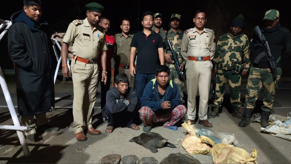 Manipur police destroy massive cache of narcotics in Imphal West Manipur police destroy massive cache of narcotics in Imphal West