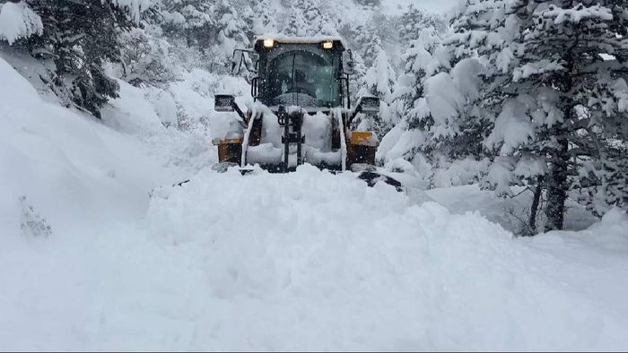Sikkim: Snowfall disrupts vital roads in state; BRO's herculean efforts ensure connectivity despite challenges