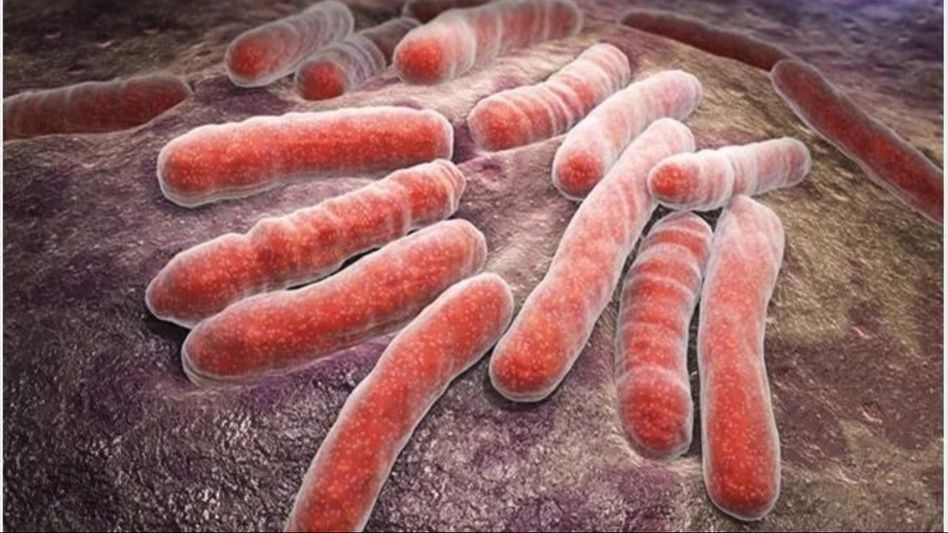 Nagaland: 78 villages declared tuberculosis-free Nagaland: 78 villages declared tuberculosis-free