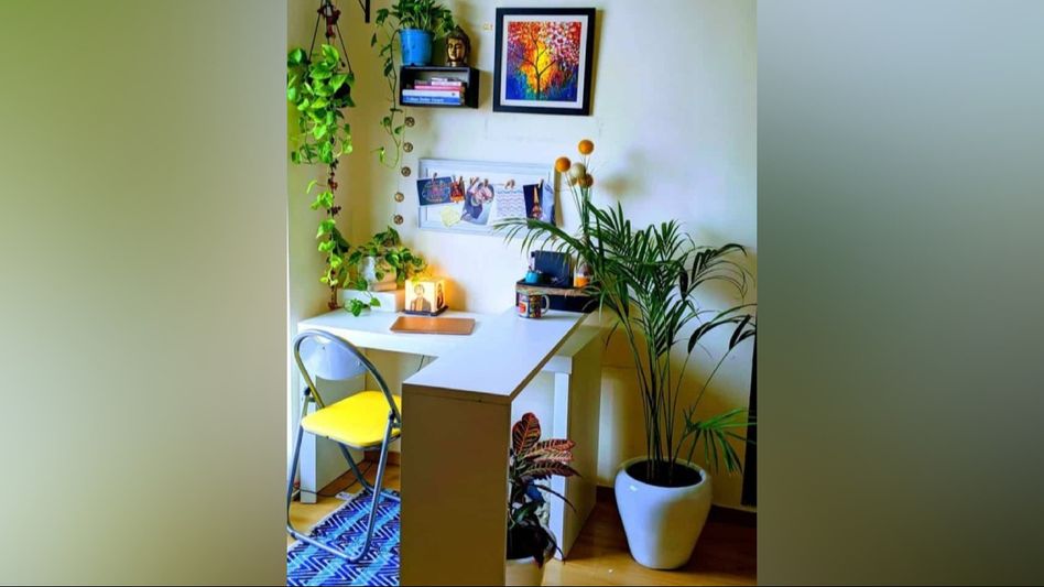 Elevating your small study space with classic interior and table plants Elevating your small study space with classic interior and table plants