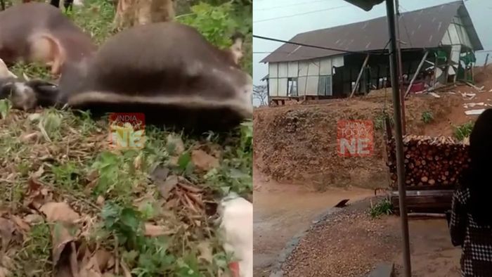 Mizoram, Storm, Damage, Relief Operations, Aizawl, Easter, Property Damage, Livestock Loss, Power Outage