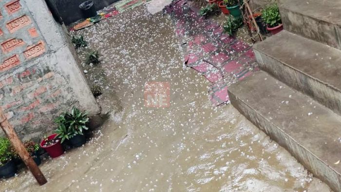 Assam, Ghoga Village, Hailstorm, Damage, Indian Meteorological Department, Weather Warning