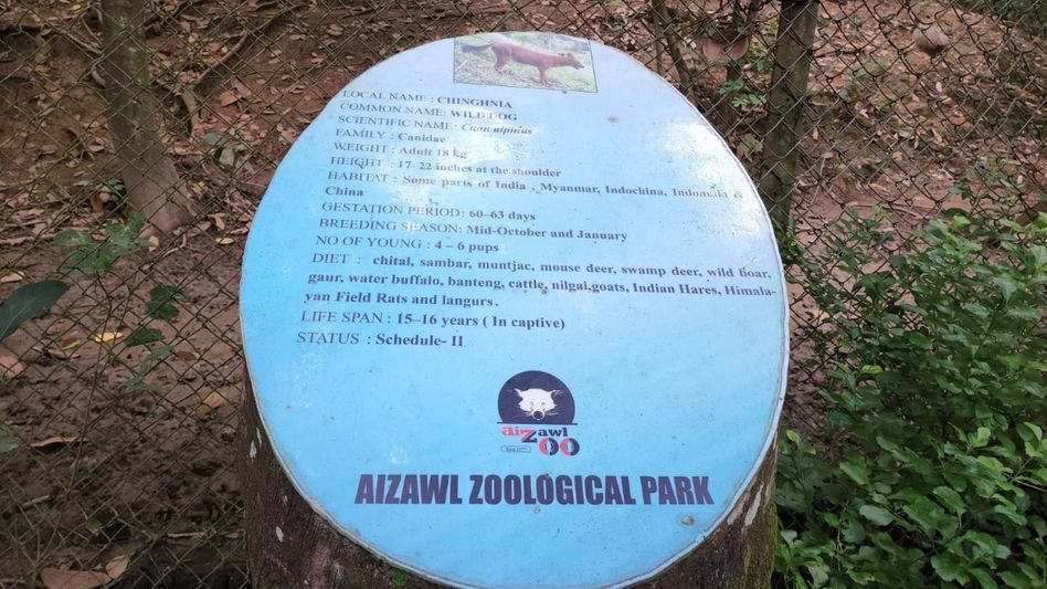 Mizoram: Bear escapes from Aizawl zoological park Mizoram: Bear escapes from Aizawl zoological park