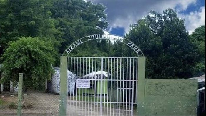 Mizoram: Escaped bear of Aizawl zoo still not found; zoo shut until further notice