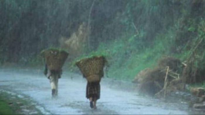 Nagaland issues weather advisory, Heavy rainfall and thunderstorms expected