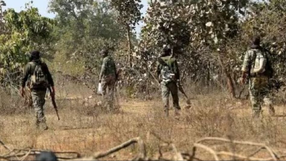Manipur police destroy massive cache of narcotics in Imphal West Manipur police destroy massive cache of narcotics in Imphal West