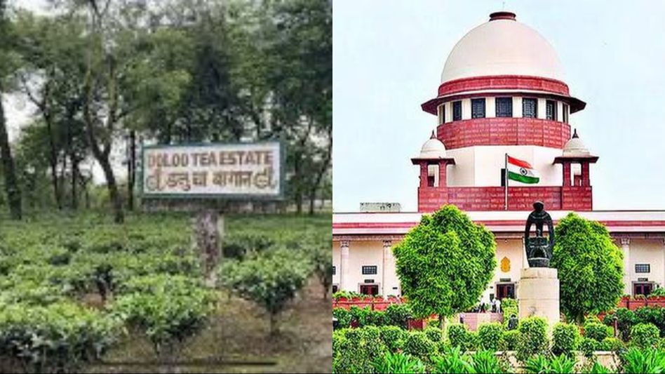 Assam: Supreme Court orders status quo on proposed airport construction at Doloo tea estate Assam: Supreme Court orders status quo on proposed airport construction at Doloo tea estate