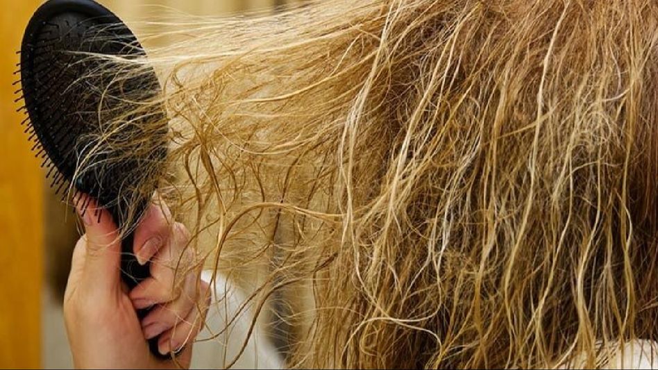Sun Protection for Your Hair: Combating Discoloration in Summer Heat Sun Protection for Your Hair: Combating Discoloration in Summer Heat