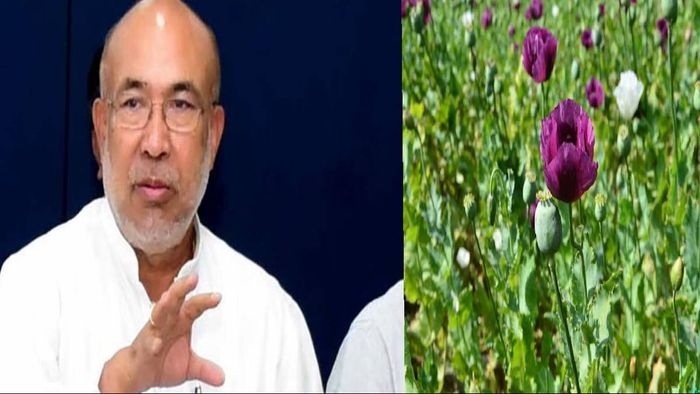 Manipur: Opium poppy cultivation in state slashed by 60 per cent, informs N Biren Singh