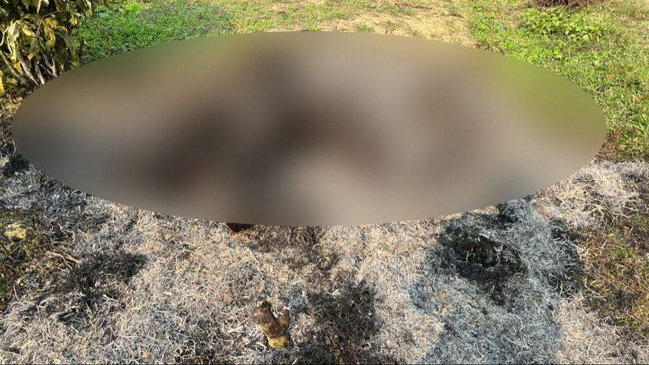 Assam: Man set ablaze by miscreants in Tinsukia, semi-charred body recovered Assam: Man set ablaze by miscreants in Tinsukia, semi-charred body recovered