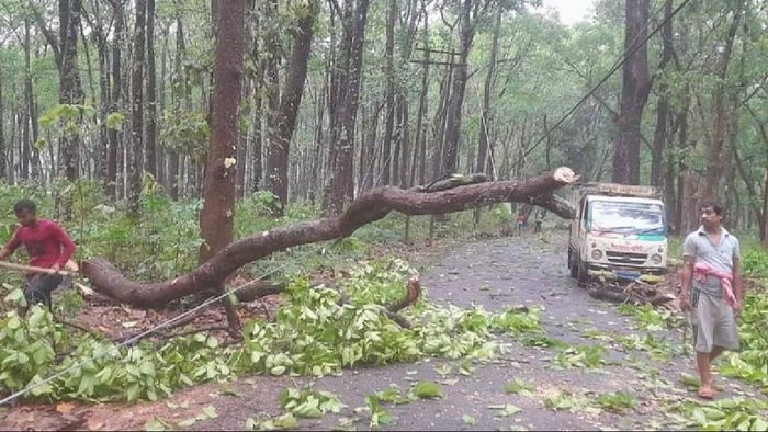 Tripura: Thunderstorm ravages state; 291 houses damaged, Gomati district worst affected