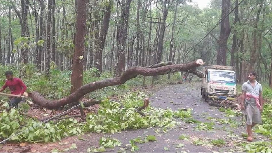 Tripura: Thunderstorm ravages state; 291 houses damaged, Gomati district worst affected Tripura: Thunderstorm ravages state; 291 houses damaged, Gomati district worst affected