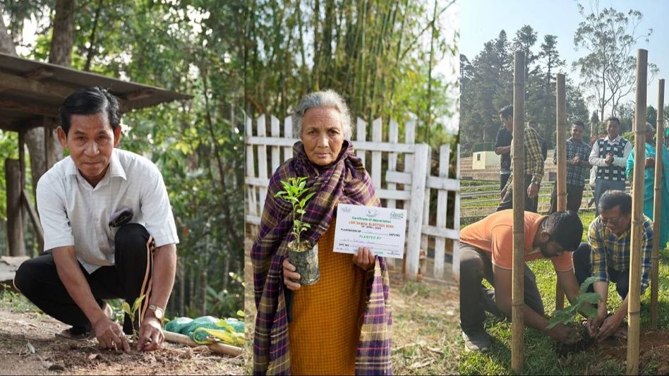 Meghalaya Lok Sabha Elections: 8000 saplings planted in a bid to promote ethical and clean polls Meghalaya Lok Sabha Elections: 8000 saplings planted in a bid to promote ethical and clean polls