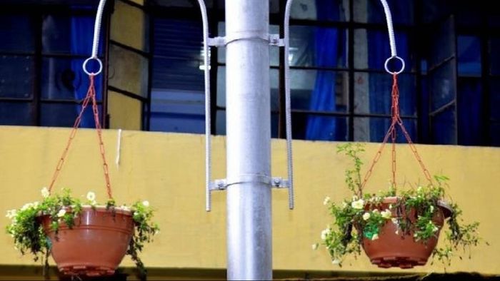 Sikkim Government directs removal of cables from flower pot stands across state