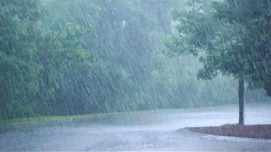 Nagaland: Shamator DC reports damage in parts of state Nagaland: Shamator DC reports damage in parts of state