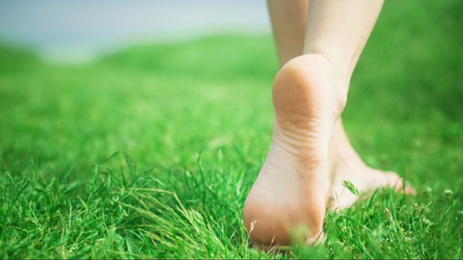 Harnessing the healing power of nature: The health benefits of early morning walks on green grass Harnessing the healing power of nature: The health benefits of early morning walks on green grass