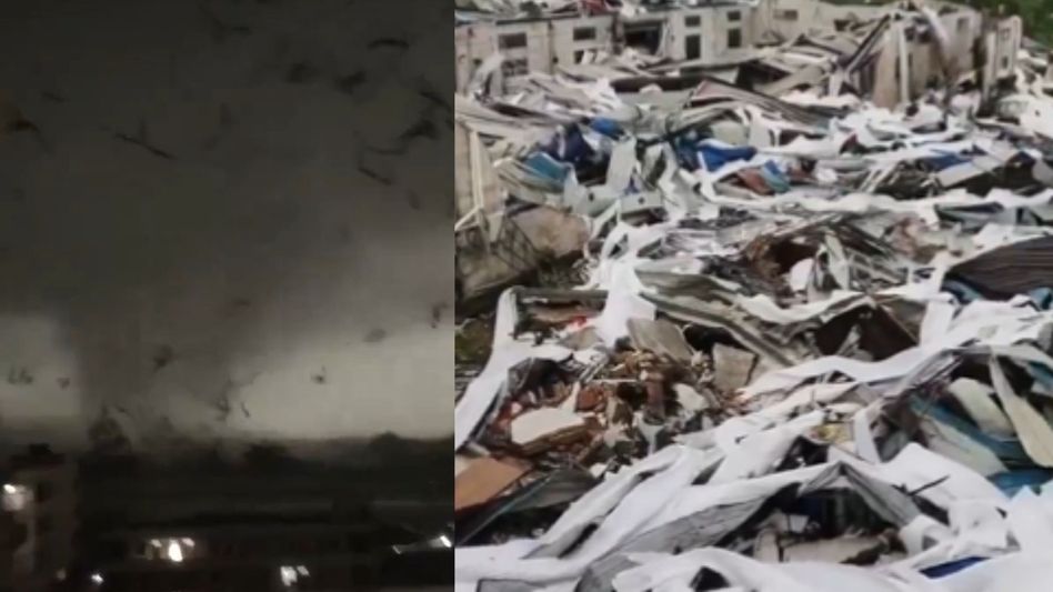 Manipur police destroy massive cache of narcotics in Imphal West Manipur police destroy massive cache of narcotics in Imphal West