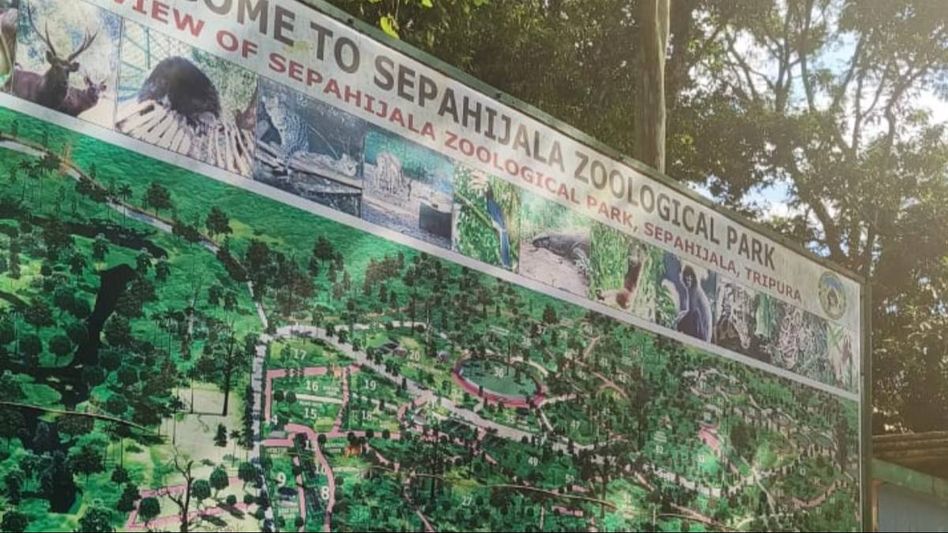 Tripura Zoo implements precautionary measures to protect animals from severe heatwave Tripura Zoo implements precautionary measures to protect animals from severe heatwave
