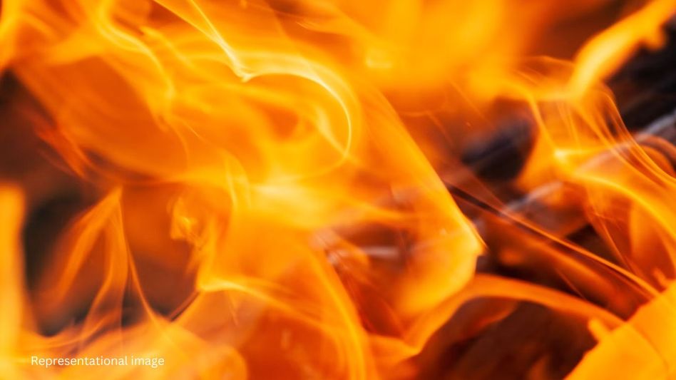 Over 40 houses gutted by major fire near Assam-Nagaland border Over 40 houses gutted by major fire near Assam-Nagaland border