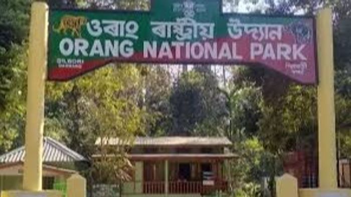 Orang Park in Assam Shuts for 2024–25 Season