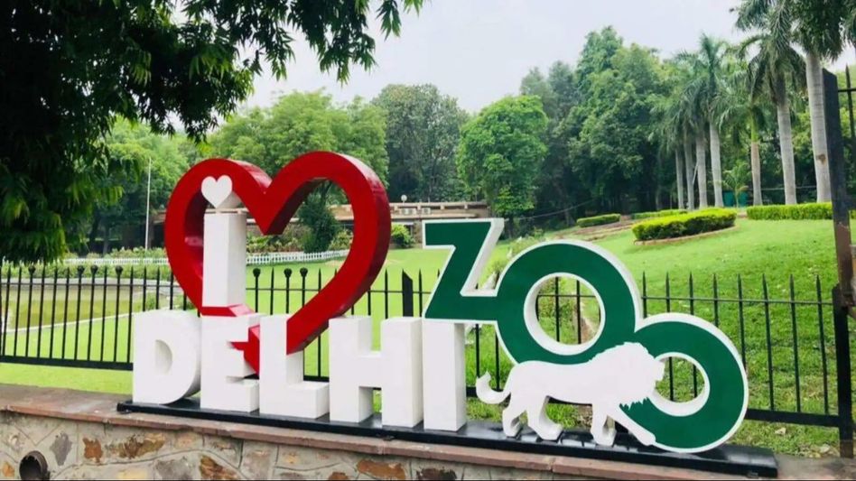 Delhi Zoo halts animal exchange with Assam amid sweltering heat Delhi Zoo halts animal exchange with Assam amid sweltering heat