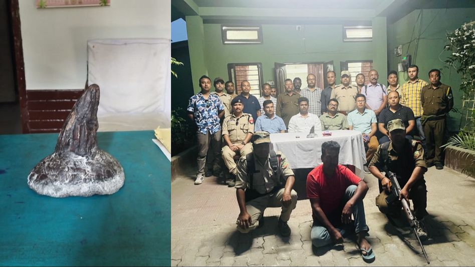 Assam: Poacher arrested with rhino horn in Sonitpur Assam: Poacher arrested with rhino horn in Sonitpur