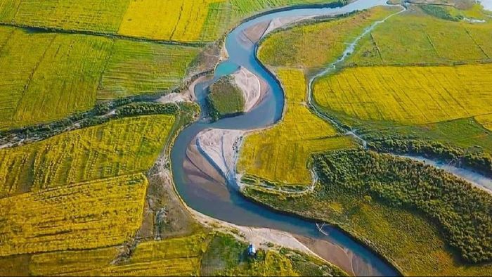 Assam: Dhemaji district shows striking progress under government initiatives