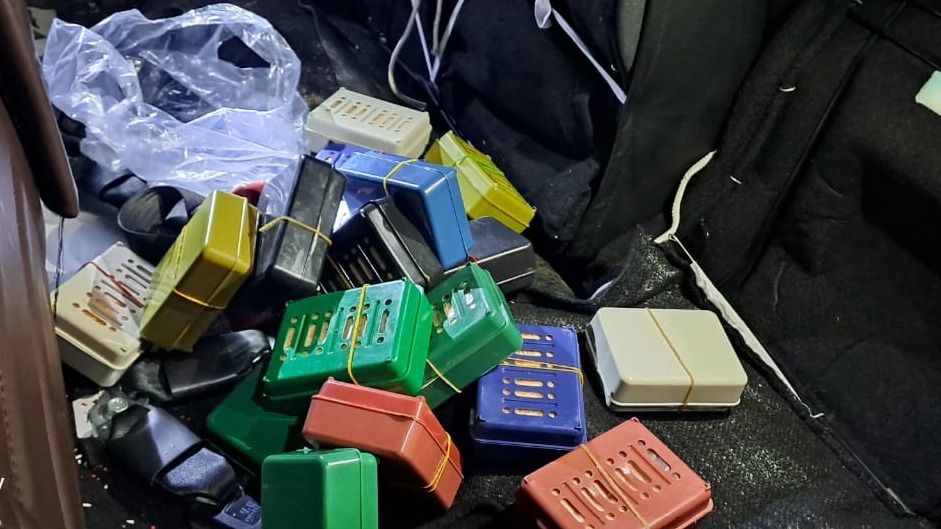 Assam: Husband-wife duo arrested with banned drugs in Jagun Assam: Husband-wife duo arrested with banned drugs in Jagun