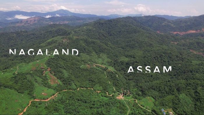 Centre seeks report from Assam government over alleged forest land diversion in Geleki