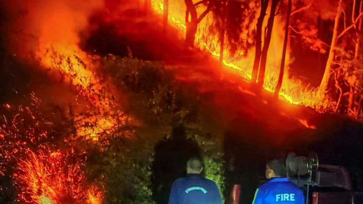 Four arrested in Uttarakhand forest fire case