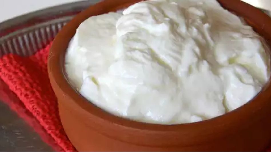 Curd: A Powerhouse of Health Benefits Curd: A Powerhouse of Health Benefits