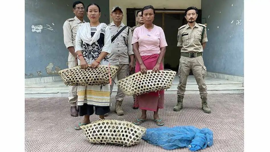 Nagaland: Two women caught with 79 red-collared doves in Dimapur Nagaland: Two women caught with 79 red-collared doves in Dimapur