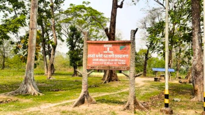 NGT seeks Assam Govt's reply over polling stations in Wildlife Sanctuary