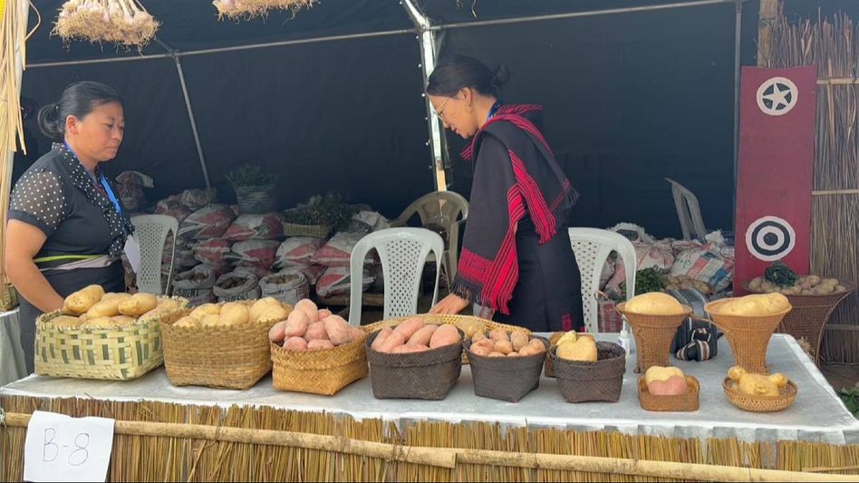 Nagaland: State celebrates first-ever potato festival, aims to celebrate organic produce Nagaland: State celebrates first-ever potato festival, aims to celebrate organic produce