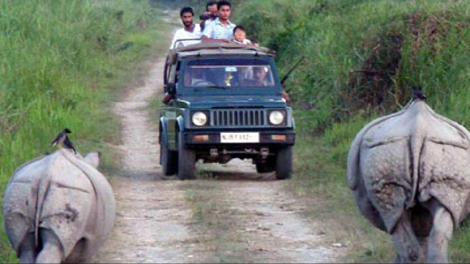 Manipur police destroy massive cache of narcotics in Imphal West Manipur police destroy massive cache of narcotics in Imphal West