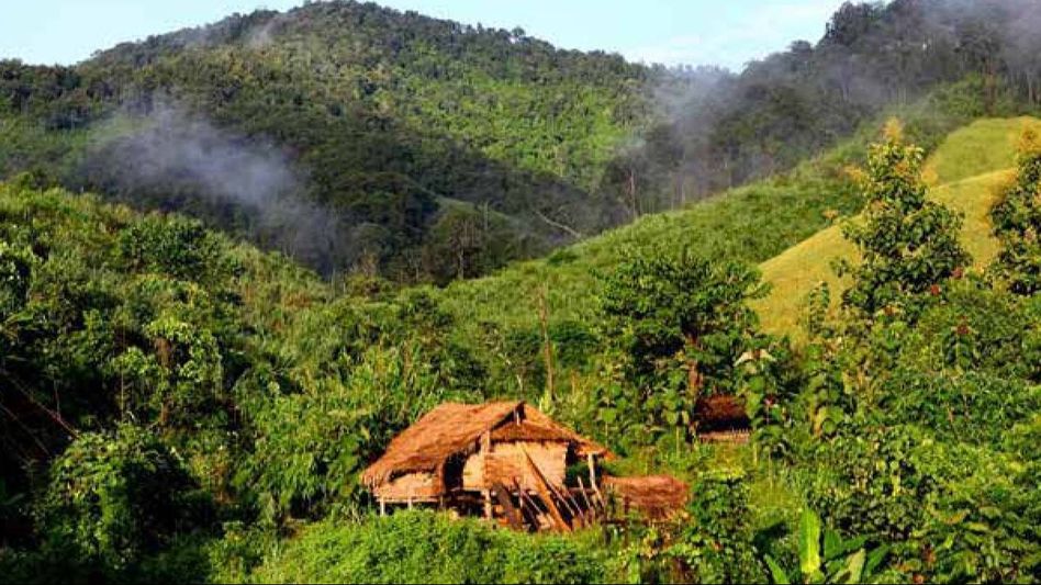 Nagaland: Climate-related disasters up 200 per cent across state Nagaland: Climate-related disasters up 200 per cent across state