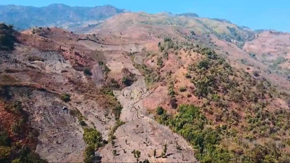 Manipur: NGT seeks response from authorities on 'substantial loss' of forest cover Manipur: NGT seeks response from authorities on 'substantial loss' of forest cover