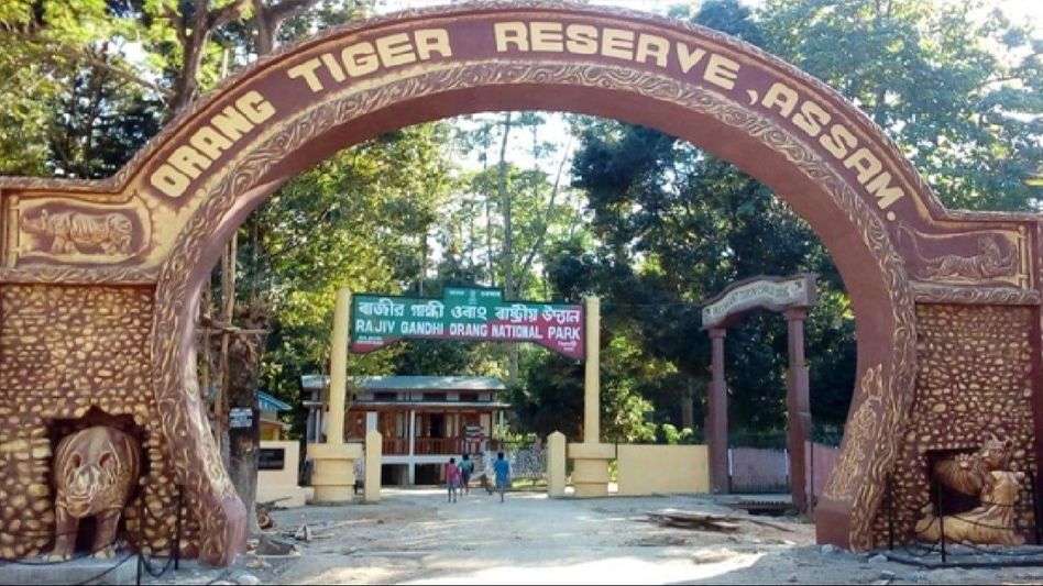 Assam: Orang National Park closes for tourists due to monsoon Assam: Orang National Park closes for tourists due to monsoon