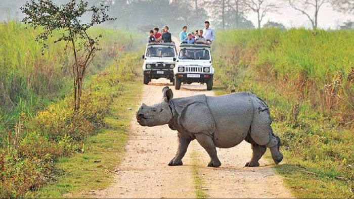 Assam: Kaziranga National Park and Tiger Reserve to close for tourists on May 31