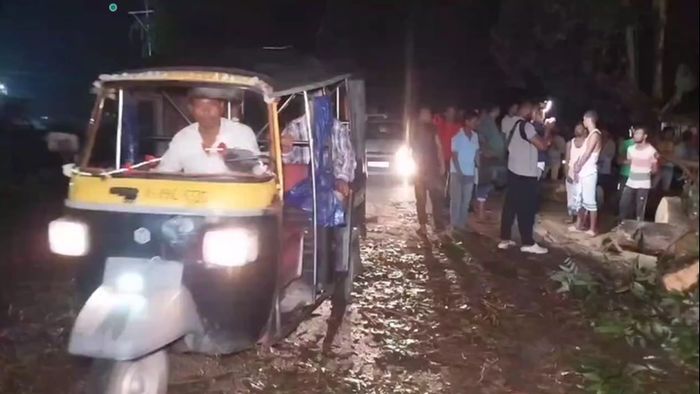 Passenger Killed in Auto-Rickshaw by Falling Tree