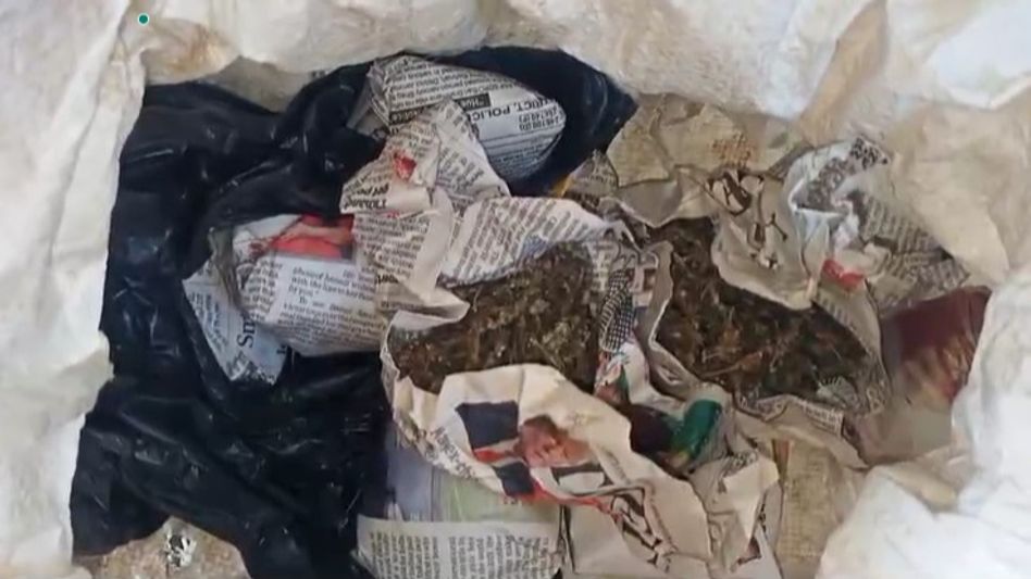 Marijuana worth Rs 50000 seized along Assam-Arunachal border, one arrested Marijuana worth Rs 50000 seized along Assam-Arunachal border, one arrested