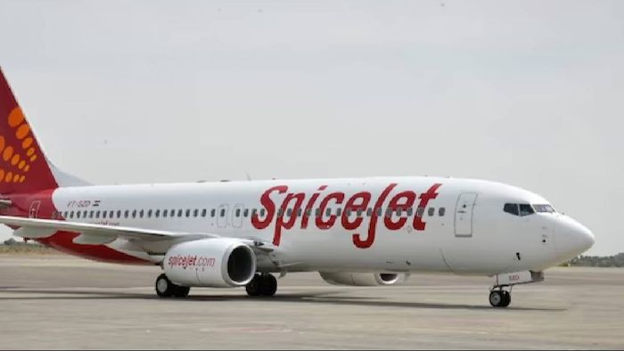 SpiceJet flight to Leh returns safely to Delhi after bird strike; passengers safe