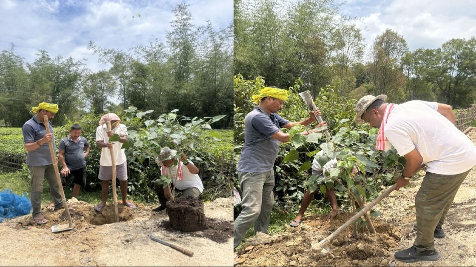 Assam MLA initiates unique protest against hot weather, urge all to plant a tree Assam MLA initiates unique protest against hot weather, urge all to plant a tree