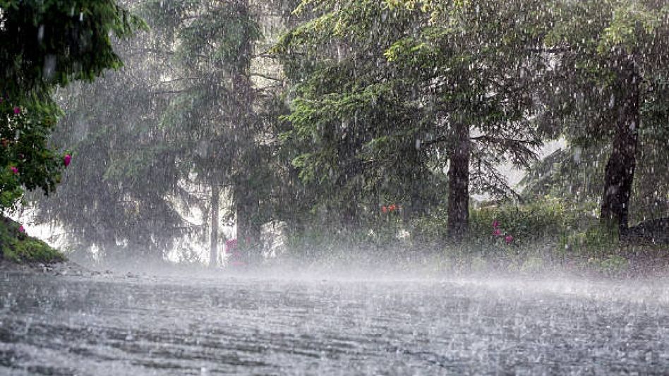 Heavy rain, thunderstorms forecasted for Meghalaya over 5 days Heavy rain, thunderstorms forecasted for Meghalaya over 5 days