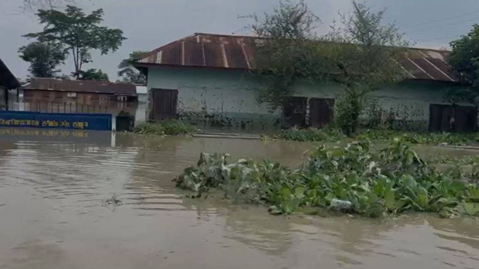 Manipur police destroy massive cache of narcotics in Imphal West Manipur police destroy massive cache of narcotics in Imphal West