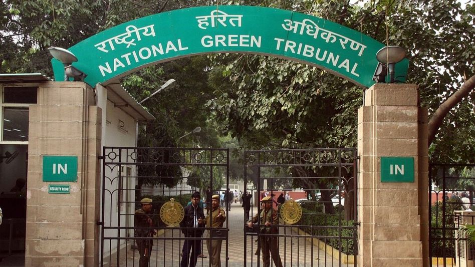 NGT orders probe into alleged illegal use of Assam forest land for commando camp NGT orders probe into alleged illegal use of Assam forest land for commando camp