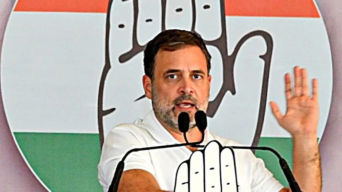 Rahul Gandhi Leads in Wayanad and Rae Bareli
