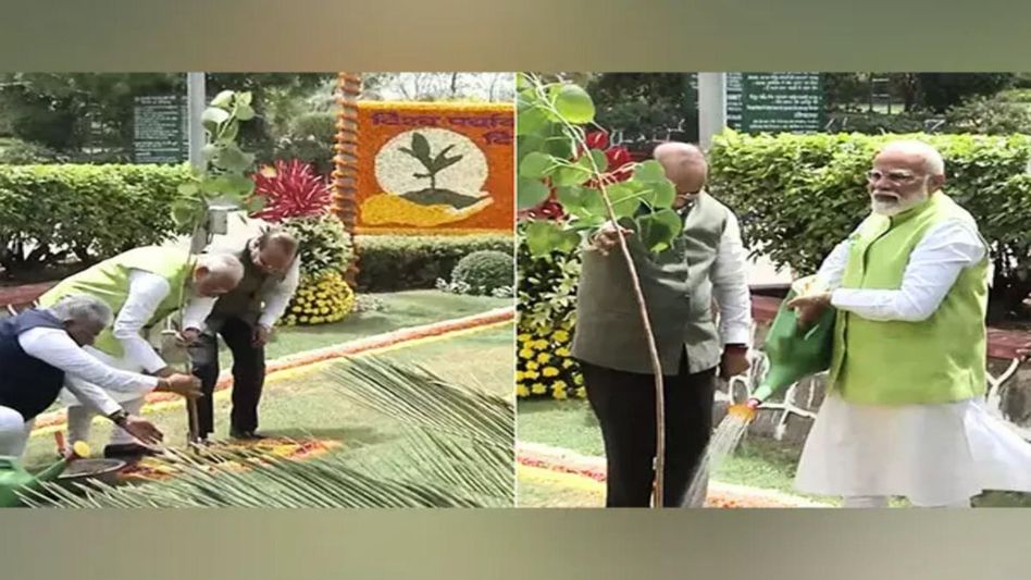 PM Modi launches 'Ek Ped Maa Ke Naam' campaign on World Environment Day PM Modi launches 'Ek Ped Maa Ke Naam' campaign on World Environment Day