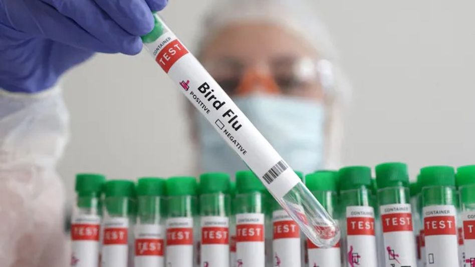 First human case of bird flu strain H5N2 claims life in Mexico First human case of bird flu strain H5N2 claims life in Mexico