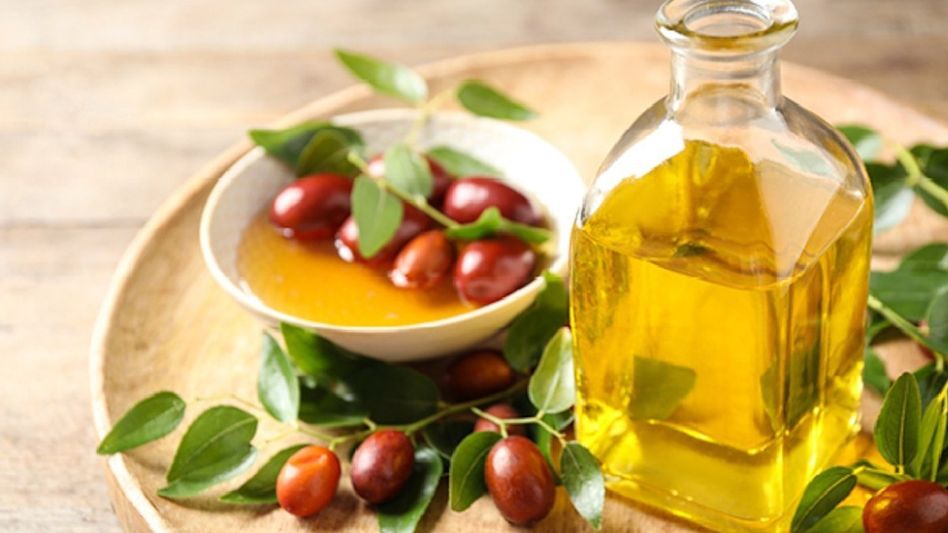 Nourishing Locks: The Beneficial Properties of Jojoba Oil for Hair Growth Nourishing Locks: The Beneficial Properties of Jojoba Oil for Hair Growth
